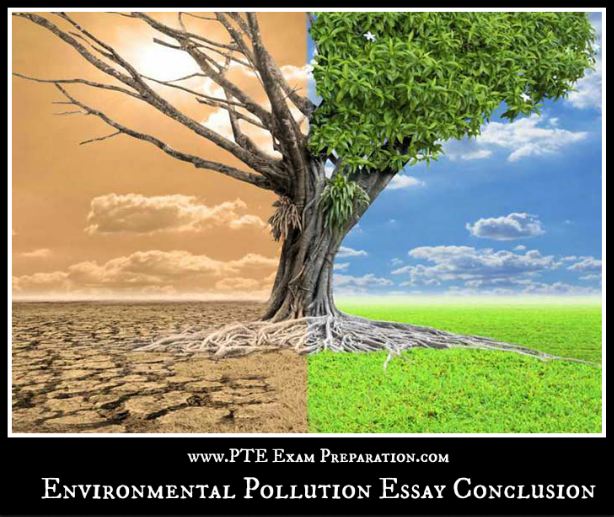conclusion on pollution essay
