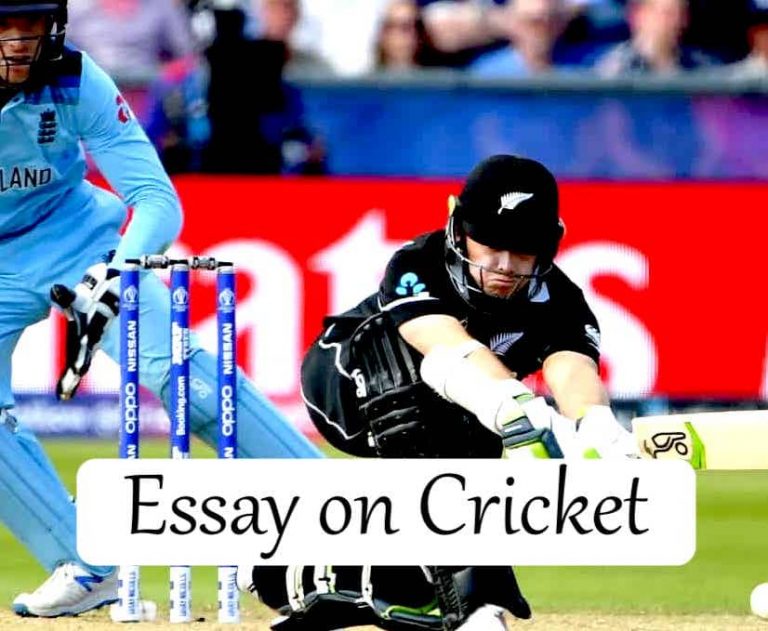 essay on cricket 300 words