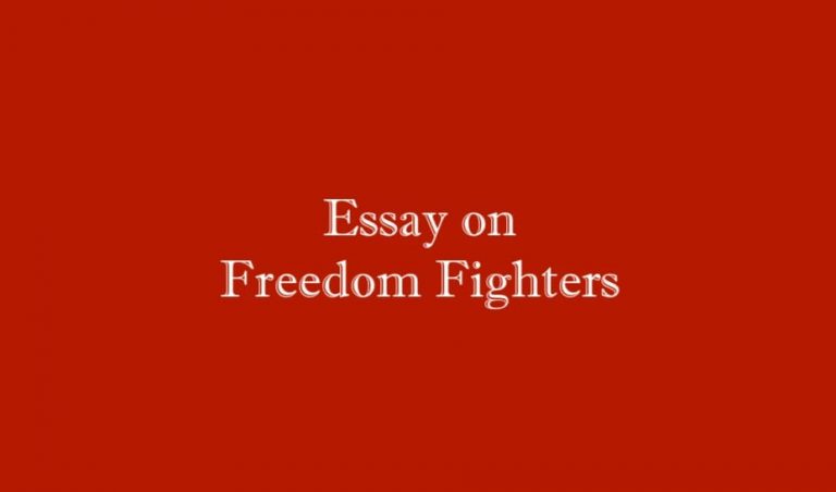 freedom fighters essay in english 300 words