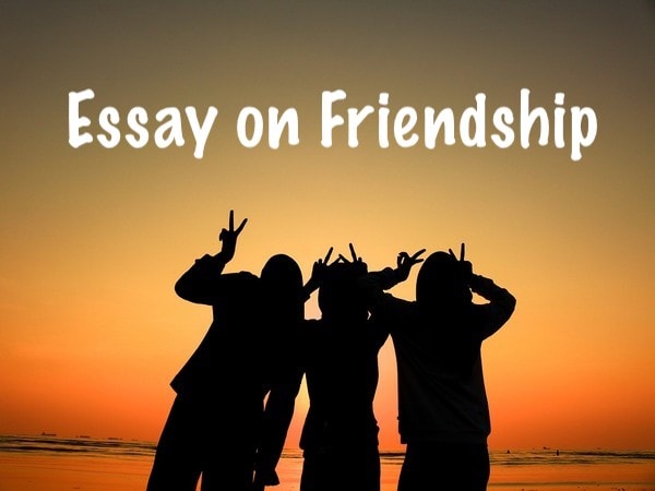 essay on friendship in 300 words