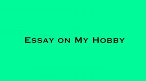 essay on my hobby 300 words