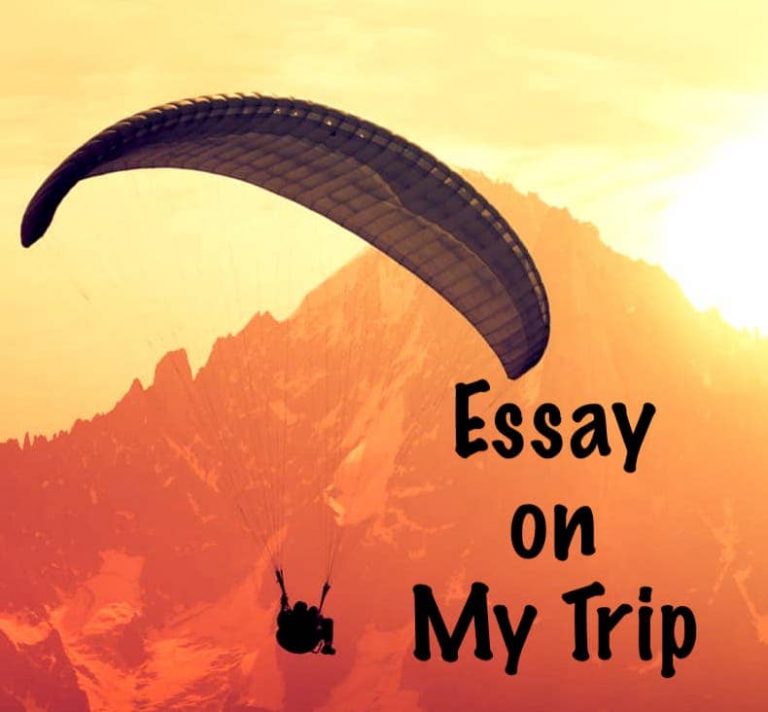 my trip essay in english