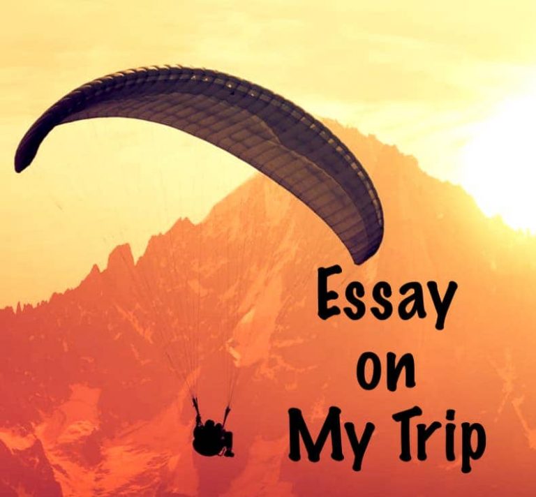 trip essay in english