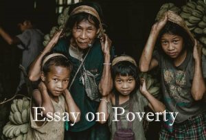 poverty essay 300 words