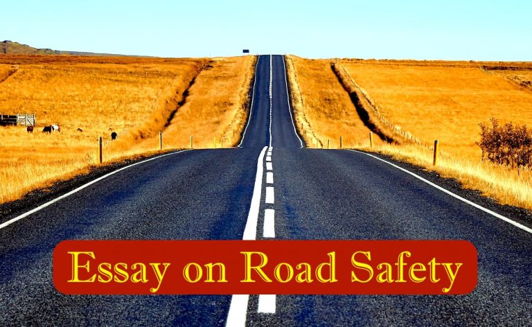 write an essay on safety on the road