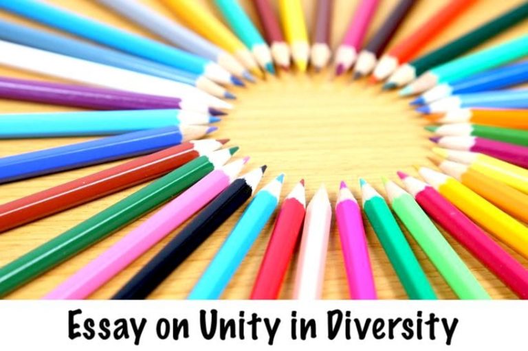 give an essay on unity in diversity