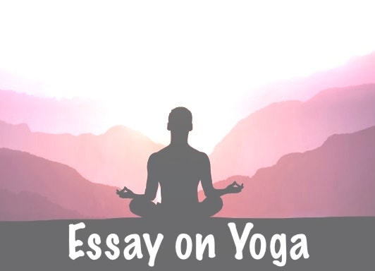 essay on importance of yoga in 300 words