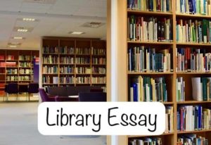 library facilities essay