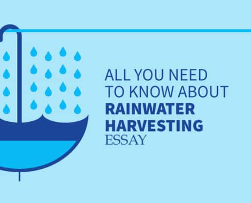 essay writing on rain water harvesting in english