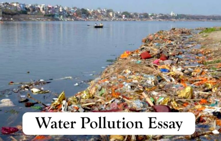 solution of water pollution essay 300 words