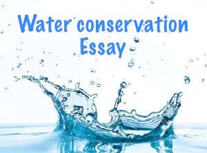 water conservation essay for class 4