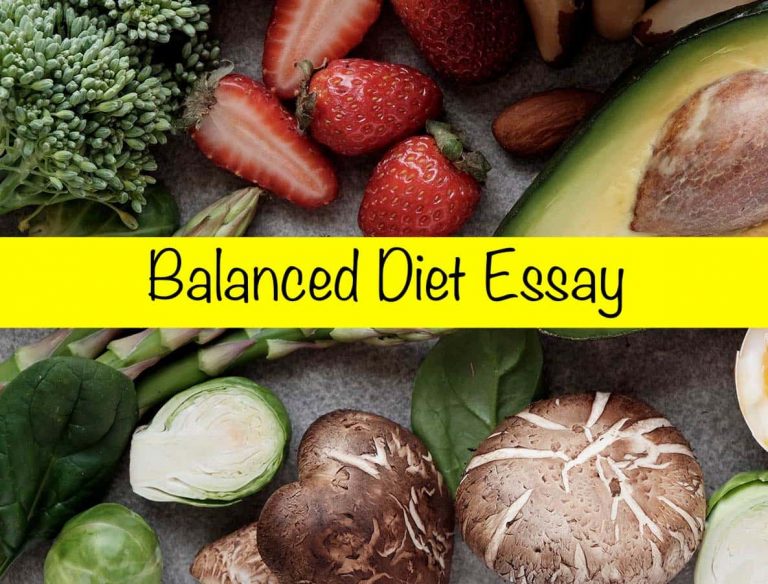 what is diet essay