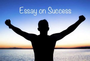 essay on success 300 words