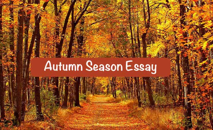 short essay on autumn season