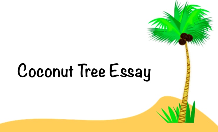 essay about coconut tree