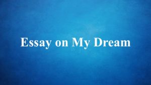 my dream essay for class 4