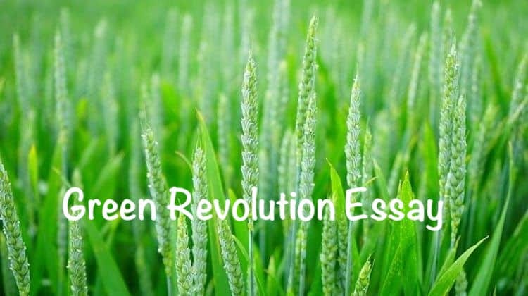 write an essay on green revolution
