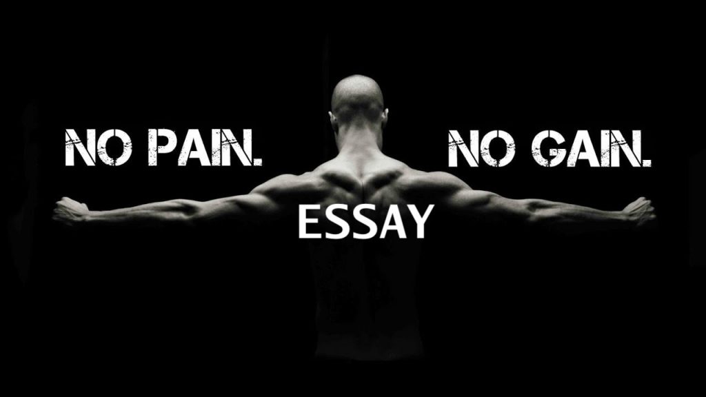 essay on no pain no gain