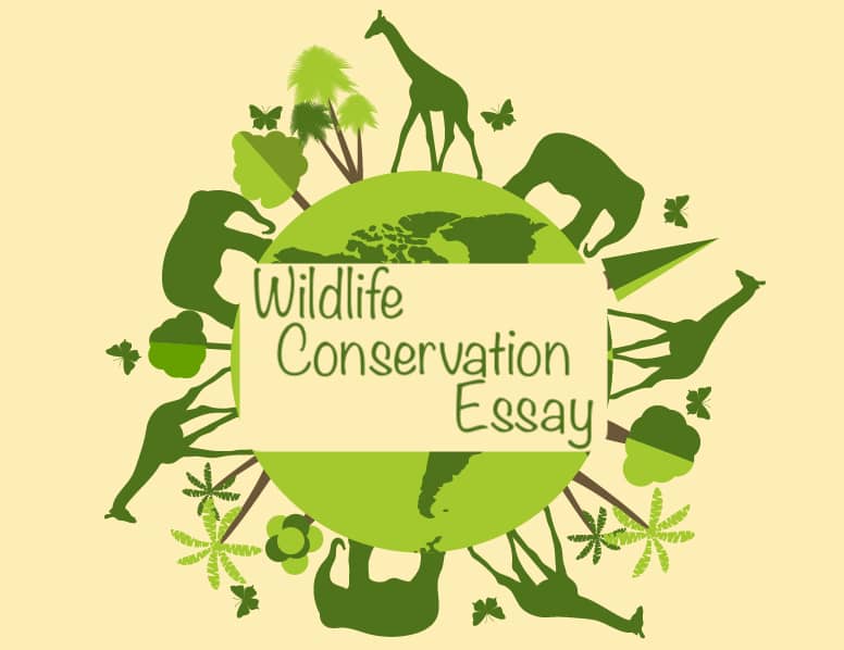 write essay on wildlife conservation